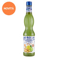 Limetten-Ingwer-Zitronensirup in 560ml Plastikflasche